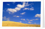 Cumulus Clouds and Wheat Fields in Fall, Washington by Anonymous