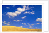 Cumulus Clouds and Wheat Fields in Fall, Washington by Anonymous