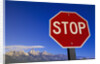 Stop Sign Near Teton Range, Wyoming by Anonymous