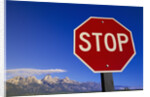 Stop Sign Near Teton Range, Wyoming by Anonymous