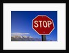Stop Sign Near Teton Range, Wyoming by Anonymous