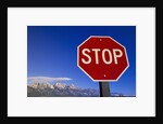 Stop Sign Near Teton Range, Wyoming by Anonymous