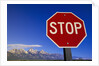 Stop Sign Near Teton Range, Wyoming by Anonymous