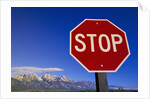 Stop Sign Near Teton Range, Wyoming by Anonymous