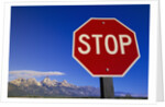 Stop Sign Near Teton Range, Wyoming by Anonymous