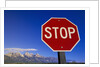 Stop Sign Near Teton Range, Wyoming by Anonymous