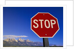 Stop Sign Near Teton Range, Wyoming by Anonymous