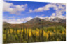 Ogilvie Mountains in Fall, Yukon by Anonymous