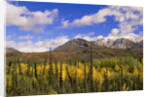 Ogilvie Mountains in Fall, Yukon by Anonymous