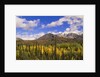 Ogilvie Mountains in Fall, Yukon by Anonymous