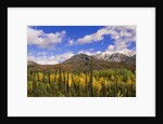 Ogilvie Mountains in Fall, Yukon by Anonymous