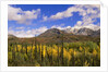 Ogilvie Mountains in Fall, Yukon by Anonymous