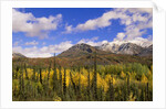 Ogilvie Mountains in Fall, Yukon by Anonymous