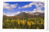 Ogilvie Mountains in Fall, Yukon by Anonymous