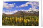 Ogilvie Mountains in Fall, Yukon by Anonymous