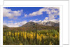 Ogilvie Mountains in Fall, Yukon by Anonymous