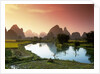 Fishing on the Li River by Anonymous