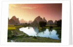 Fishing on the Li River by Anonymous