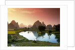 Fishing on the Li River by Anonymous