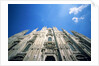 Duomo of Milano by Anonymous