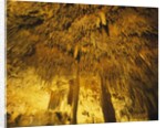 Stalactities on Ceiling of Damlatas Cavern by Anonymous
