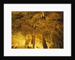 Stalactities on Ceiling of Damlatas Cavern by Anonymous