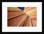 Sedimentary Pattern on Rock USA by Anonymous