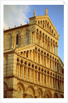 Duomo Santa Maria Assunta in Pisa (Italy) by Anonymous
