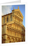 Duomo Santa Maria Assunta in Pisa (Italy) by Anonymous