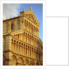 Duomo Santa Maria Assunta in Pisa (Italy) by Anonymous