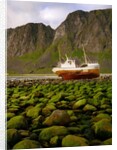 Norway/Lofoten: stranded trawler near Unstad by Anonymous