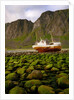Norway/Lofoten: stranded trawler near Unstad by Anonymous