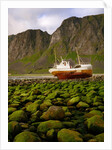 Norway/Lofoten: stranded trawler near Unstad by Anonymous