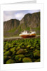Norway/Lofoten: stranded trawler near Unstad by Anonymous