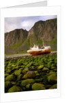 Norway/Lofoten: stranded trawler near Unstad by Anonymous