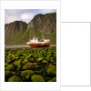 Norway/Lofoten: stranded trawler near Unstad by Anonymous