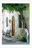 House in the village Vessa on Chios, Greece by Anonymous