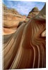 Rock formation in the Paria Canyon, Utah by Anonymous