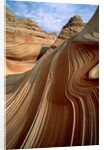 Rock formation in the Paria Canyon, Utah by Anonymous
