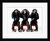 Three chimpanzees by Anonymous