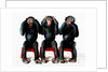 Three chimpanzees by Anonymous