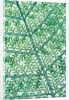 Fern leaf vein by Anonymous