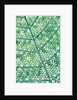 Fern leaf vein by Anonymous