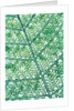 Fern leaf vein by Anonymous