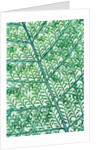 Fern leaf vein by Anonymous