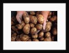 Potato harvest by Anonymous