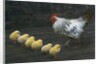 Hen with her chicken by Anonymous