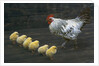 Hen with her chicken by Anonymous