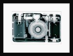 X-ray of Camera by Anonymous