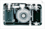 X-ray of Camera by Anonymous